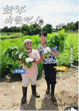 漫改韩剧改编趋势配图